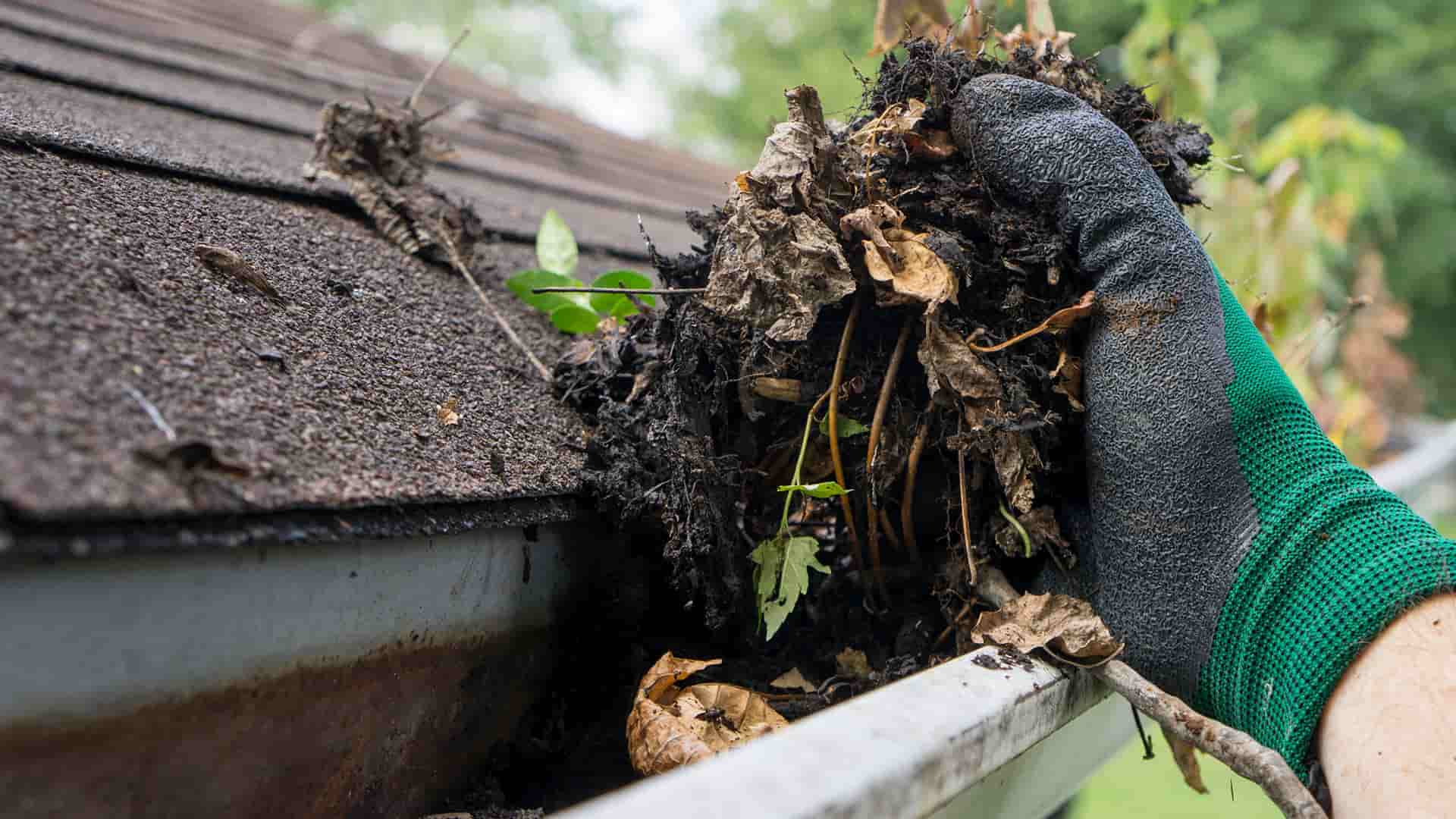 Gutter Cleaning